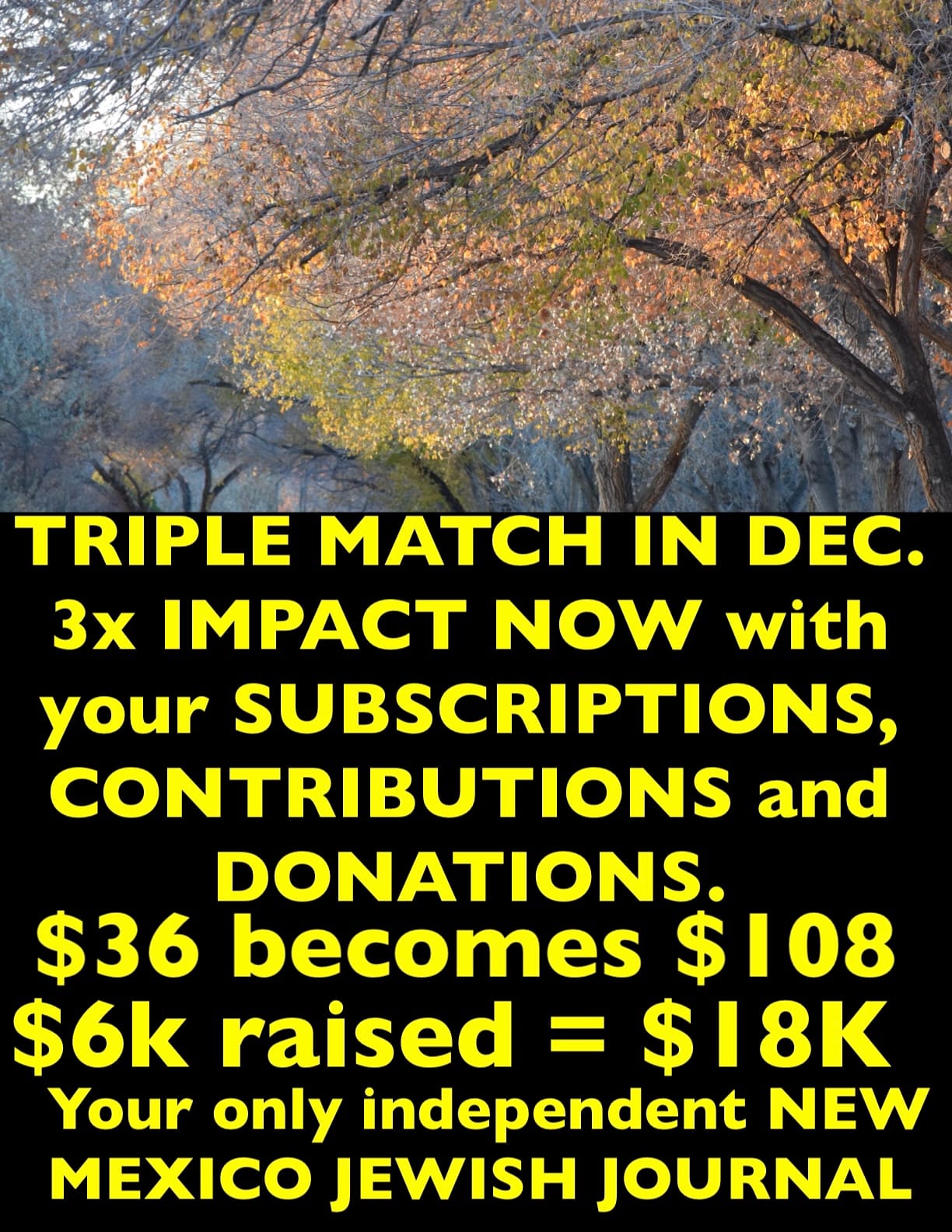 TRIPLE MATCH IN DECEMBER!! MAKE 3 TIMES THE IMPACT NOW with your SUBSCRIPTIONS, CONTRIBUTIONS, and Charitable Donations to our Foundation