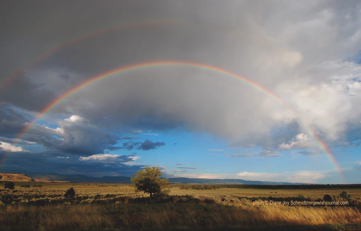 The New Mexico Jewish Journal is now live!