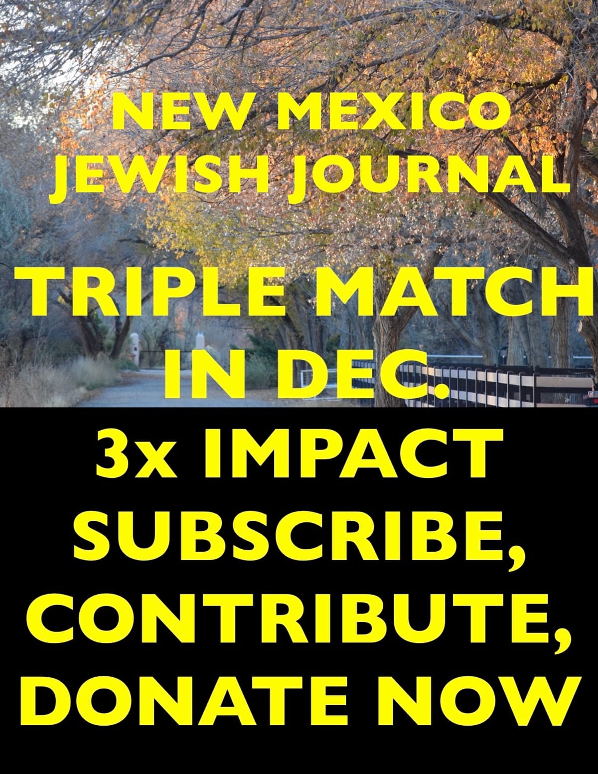 TRIPLE MATCH IN DECEMBER!! MAKE 3 TIMES THE IMPACT NOW with your SUBSCRIPTIONS, CONTRIBUTIONS, and Charitable Donations to our Foundation