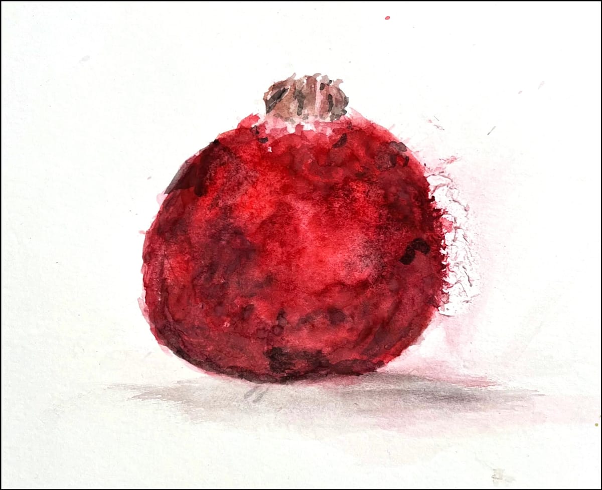 HAPPY NEW YEAR! We MET OUR MATCH! We Raised $6,000, unlocked our $12,000 donor matches, and reached $18,000! WE will still TRIPLE  Matches for another $900 in January.