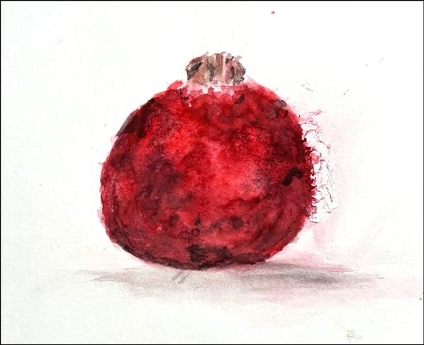 HAPPY NEW YEAR! We MET OUR MATCH! We Raised $6,000, unlocked our $12,000 donor matches, and reached $18,000! WE will still TRIPLE  Matches for another $900 in January.