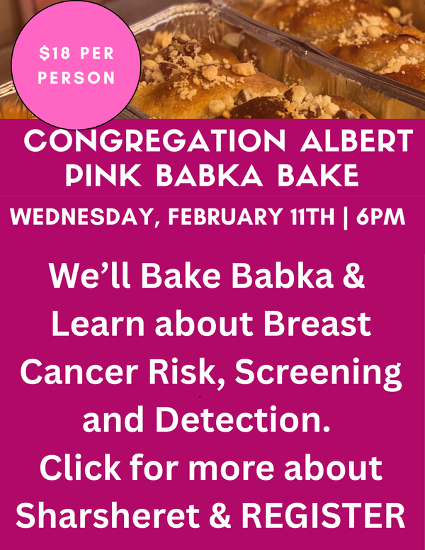 PINK BABKA BAKE - REGISTER FEB. 11th 6 PM CONGREGATION ALBERT