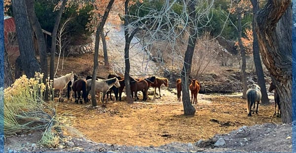 February 18, 2026 ~ NM JEWISH JOURNAL ~ ADAR 5786