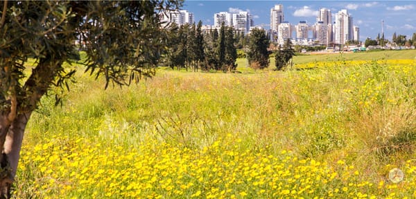 A Tale of Two Cities, Rehovot and Albuquerque